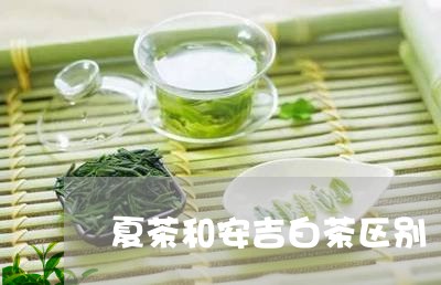 夏茶和安吉白茶区别/2023071685039