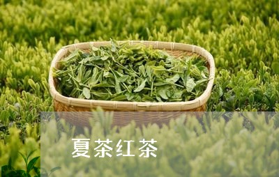 夏茶红茶/2023110993938