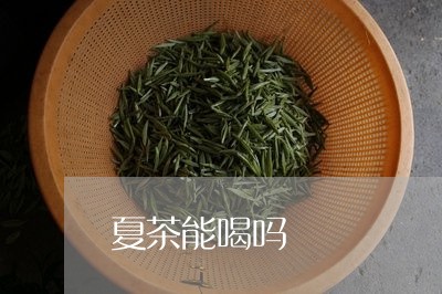 夏茶能喝吗/2023090283726