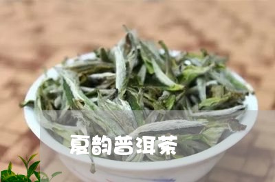 夏韵普洱茶/2023082666149