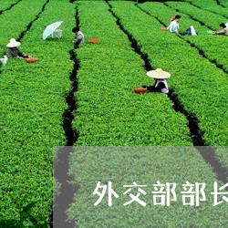 外交部部长推荐普洱茶/2023092871048