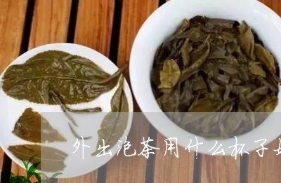 外出泡茶用什么杯子好/2023060885152