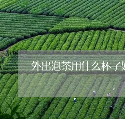 外出泡茶用什么杯子好/2023092084047