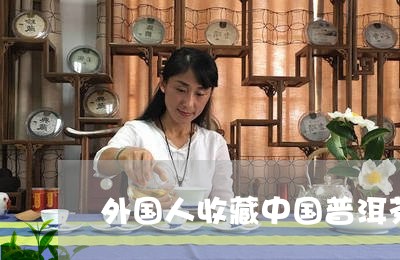 外国人收藏中国普洱茶/2023120650614