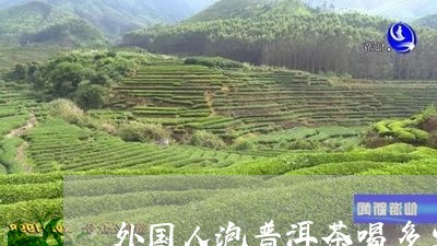 外国人泡普洱茶喝多少克/2023050524948