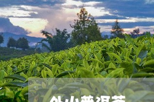 外山普洱茶/2023102549383