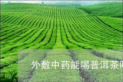 外敷中药能喝普洱茶吗/2023073193827