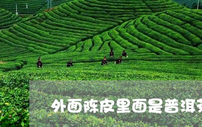 外面陈皮里面是普洱茶/2023092855187