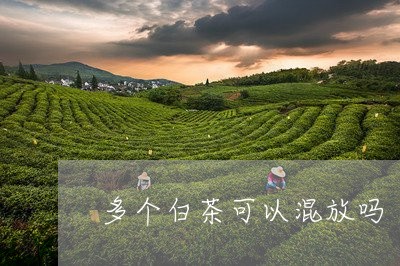 多个白茶可以混放吗/2023121835181