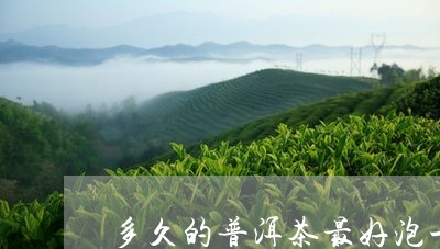 多久的普洱茶最好泡一次/2023112459692