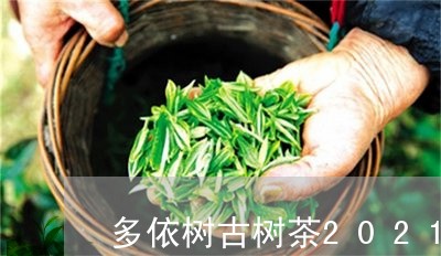 多依树古树茶2021年价格/2023052662736