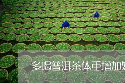 多喝普洱茶体重增加好吗/2023110360814