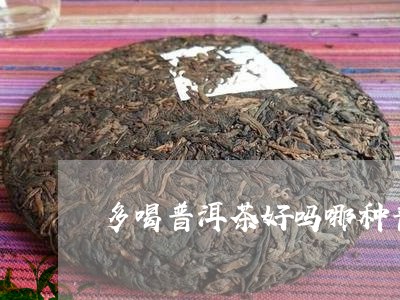 多喝普洱茶好吗哪种普洱熟茶比较好/2023060358292