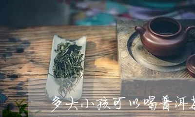 多大小孩可以喝普洱茶/2023062297150