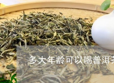 多大年龄可以喝普洱茶/2023062259693