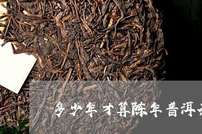 多少年才算陈年普洱茶饼/2023110581735