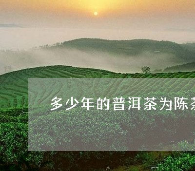 多少年的普洱茶为陈茶/2023061772846