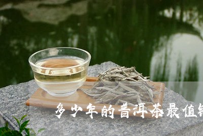 多少年的普洱茶最值钱/2023093064716