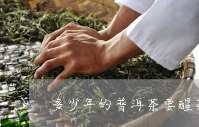 多少年的普洱茶要醒茶/2023062155075