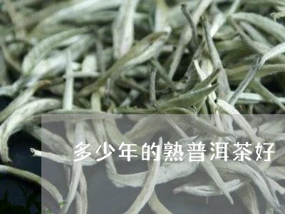 多少年的熟普洱茶好/2023070936049