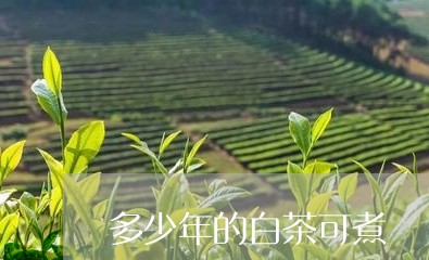 多少年的白茶可煮/2023061619381