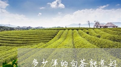 多少年的白茶能煮好/2023071624247