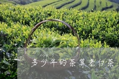 多少年的茶算老白茶/2023121856272