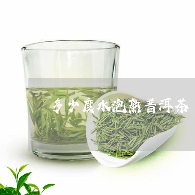 多少度水泡熟普洱茶/2023110524727