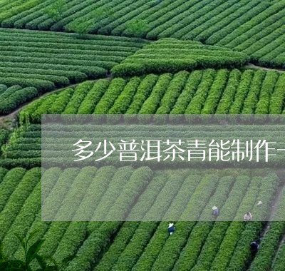 多少普洱茶青能制作一斤茶/2023121503706