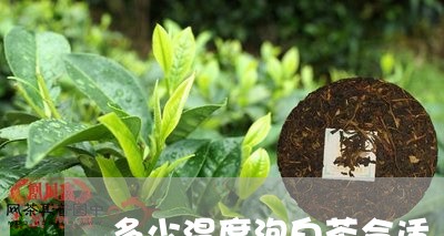 多少温度泡白茶合适/2023071609582