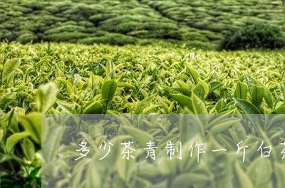 多少茶青制作一斤白茶/2023092877572