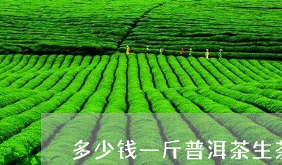 多少钱一斤普洱茶生茶/2023062910481