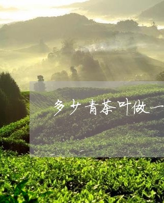 多少青茶叶做一斤干茶/2023092335071