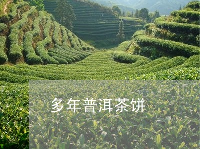 多年普洱茶饼/2023042805157