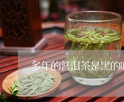 多年的普洱茶是黑的吗/2023093040371