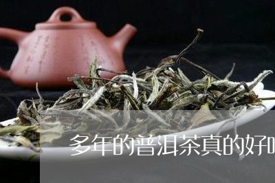 多年的普洱茶真的好吗/2023100875380