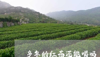 多年的红茶还能喝吗/2023042294258