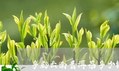 多彩云南普洱茶多少钱/2023061694926