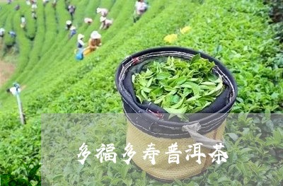 多福多寿普洱茶/2023082981705