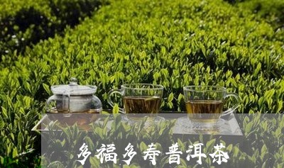 多福多寿普洱茶/2023121514048