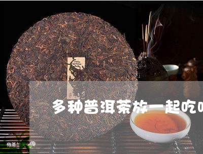 多种普洱茶放一起吃吗/2023092610470