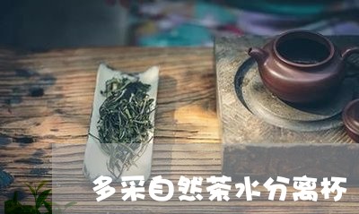 多采自然茶水分离杯/2023042015260