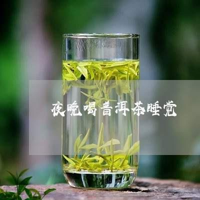 夜晚喝普洱茶睡觉/2023112688381