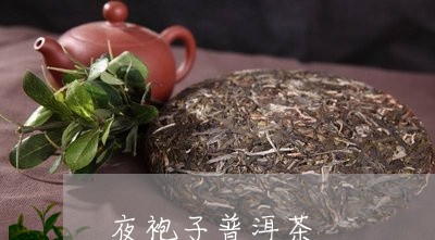 夜袍子普洱茶/2023101638383