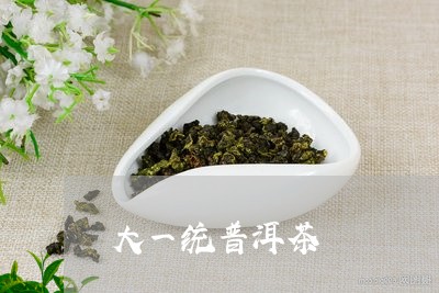 大一统普洱茶/2023090604158