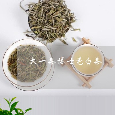 大一茶博士老白茶/2023061646039