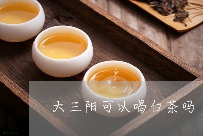 大三阳可以喝白茶吗/2023121875937