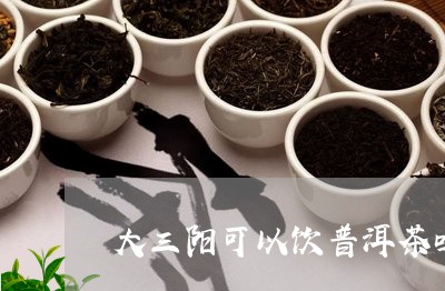 大三阳可以饮普洱茶吗/2023092551628