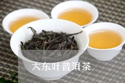 大东叶普洱茶/2023042753639