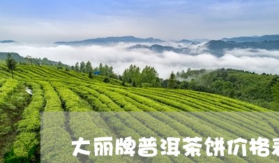 大丽牌普洱茶饼价格表大全/2023112548692